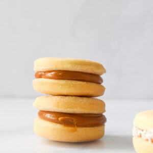 Alfajores Mixtos (6 un)